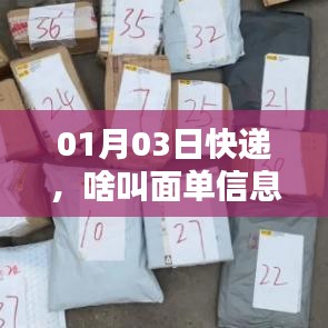 快递面单信息解析，了解你的包裹细节