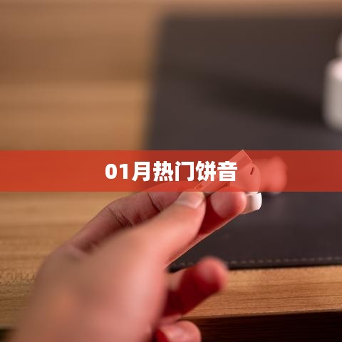 热门饼音风潮来袭！一月爆款盘点