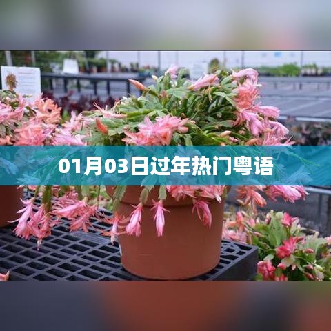 过年热门粤语歌曲盘点（附歌曲推荐）