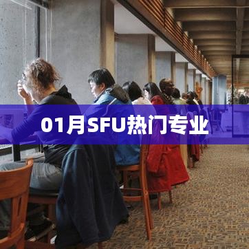 雍容华贵 第3页