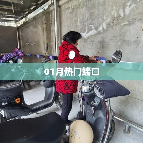 反正还淳 第3页