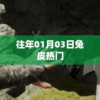 兔皮时尚热点回顾，历年一月三日风采展