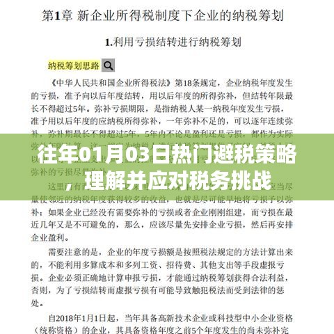 往年元旦后热门避税策略，应对税务挑战全解析