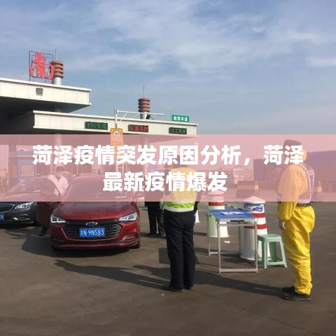 菏泽疫情突发原因分析，菏泽最新疫情爆发 