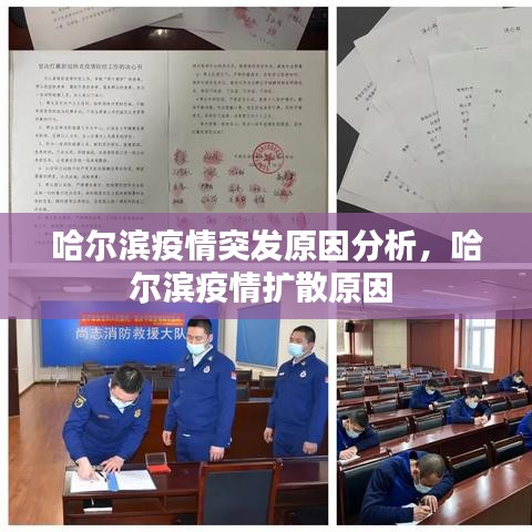 哈尔滨疫情突发原因分析，哈尔滨疫情扩散原因 