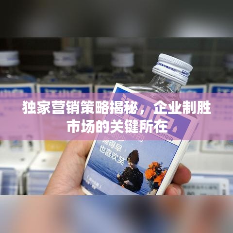 独家营销策略揭秘，企业制胜市场的关键所在