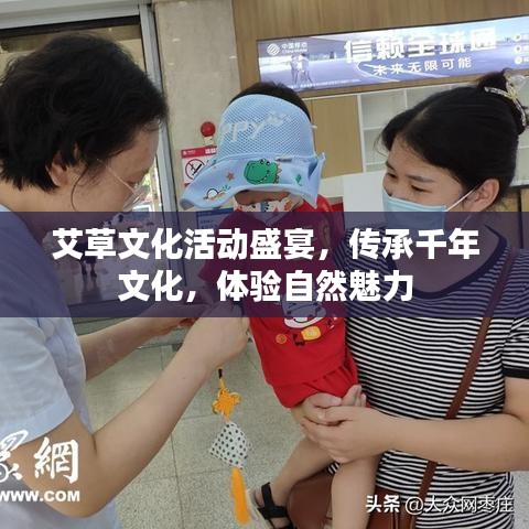 艾草文化活动盛宴，传承千年文化，体验自然魅力