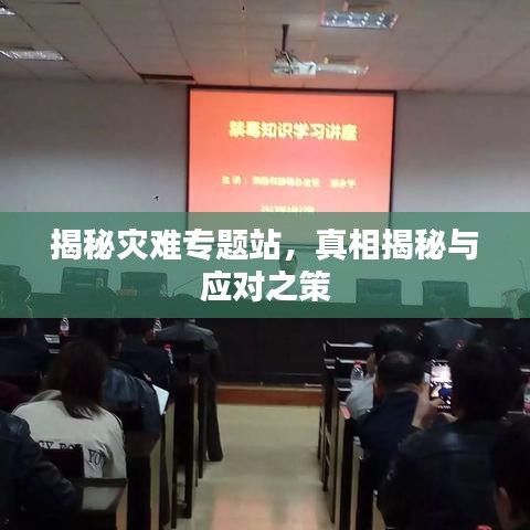 揭秘灾难专题站，真相揭秘与应对之策