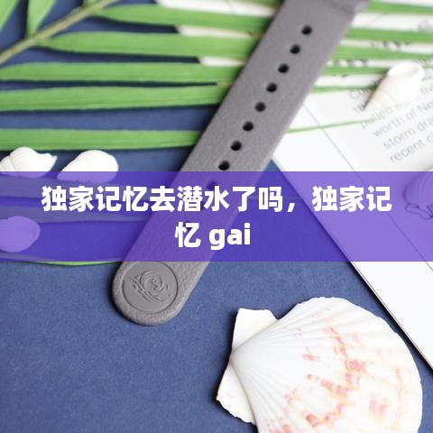 独家记忆去潜水了吗，独家记忆 gai 