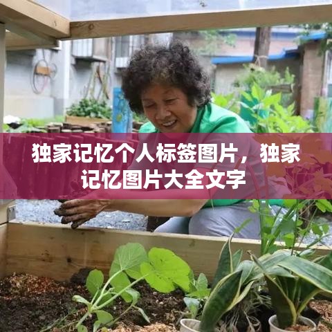 独家记忆个人标签图片，独家记忆图片大全文字 