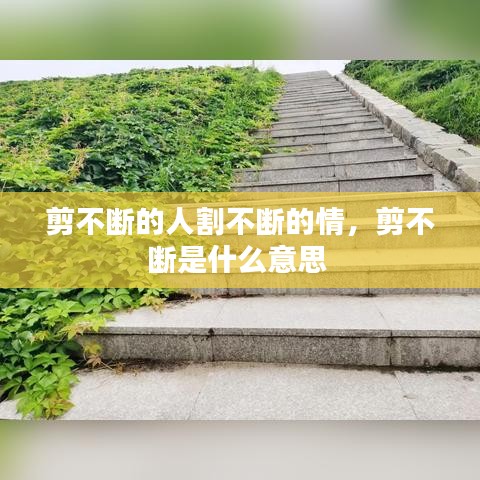 剪不断的人割不断的情，剪不断是什么意思 
