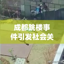 成都跳楼事件引发社会关注，应对策略与深度探讨专题