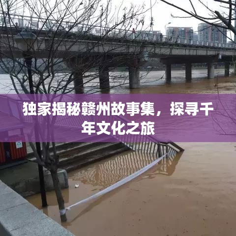 笔走如飞 第3页