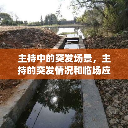 主持中的突发场景，主持的突发情况和临场应变 