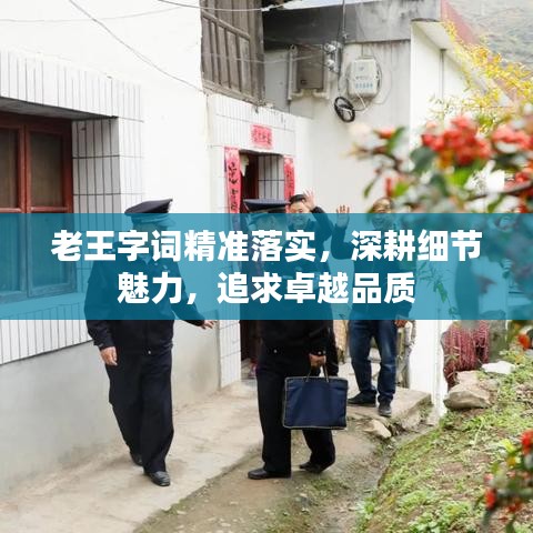 老王字词精准落实，深耕细节魅力，追求卓越品质