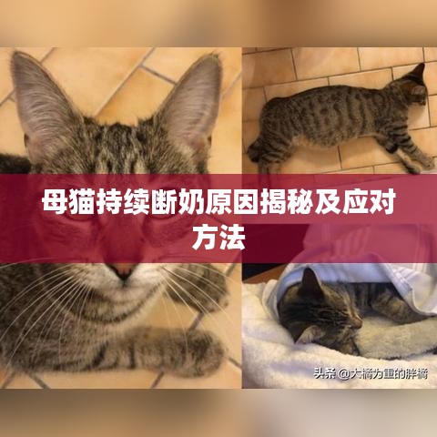 沉灶生蛙 第3页