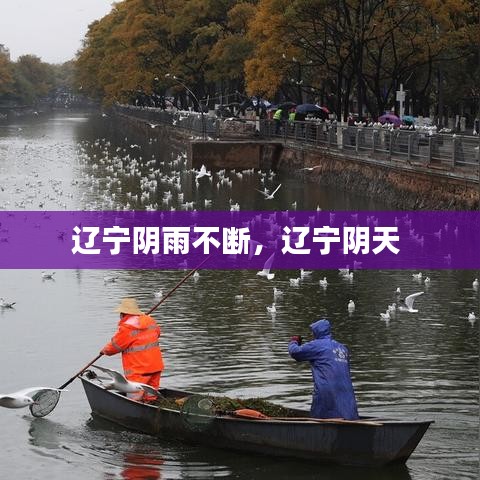 辽宁阴雨不断，辽宁阴天 