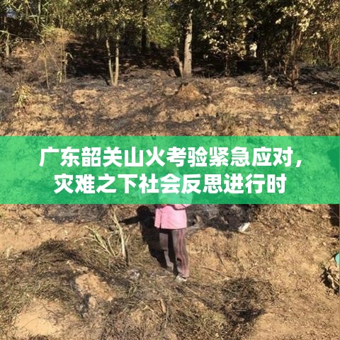 广东韶关山火考验紧急应对，灾难之下社会反思进行时