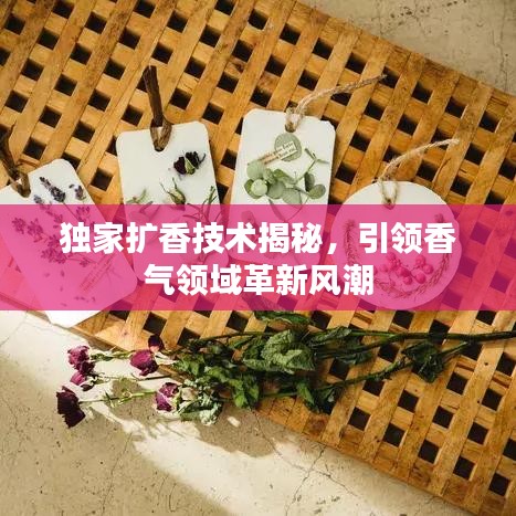 独家扩香技术揭秘，引领香气领域革新风潮