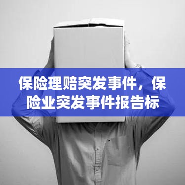 保险理赔突发事件，保险业突发事件报告标准 