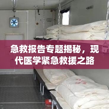 急救报告专题揭秘，现代医学紧急救援之路的探索