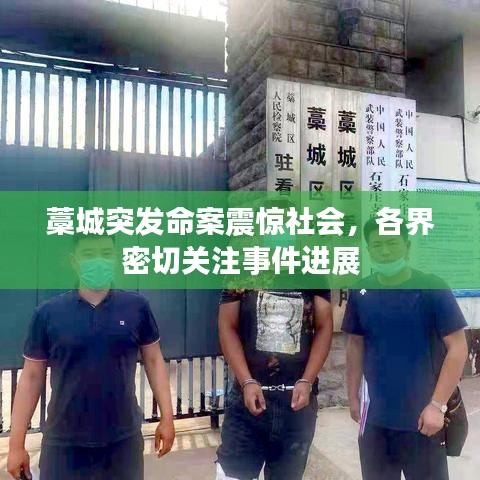 藁城突发命案震惊社会，各界密切关注事件进展