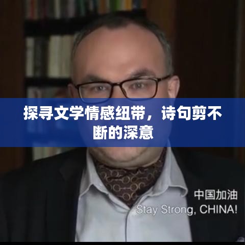 探寻文学情感纽带，诗句剪不断的深意