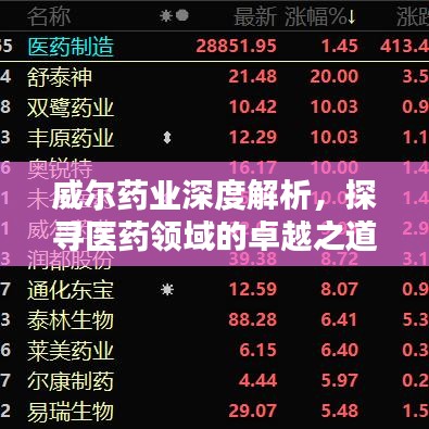 威尔药业深度解析，探寻医药领域的卓越之道