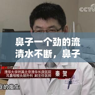 鼻子一个劲的流清水不断，鼻子一个劲儿的流清水鼻涕 