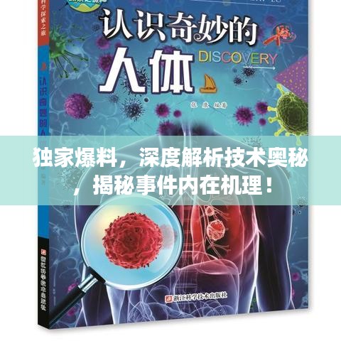 独家爆料，深度解析技术奥秘，揭秘事件内在机理！