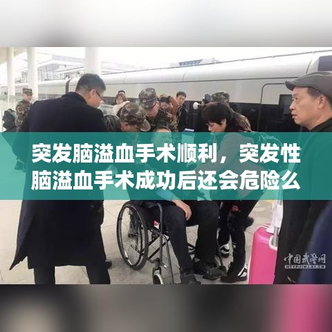 雅量高致 第3页