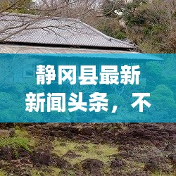 静冈县最新新闻头条，不容错过的当地资讯