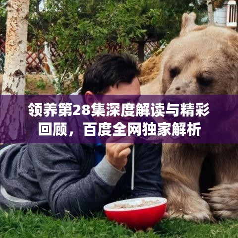 领养第28集深度解读与精彩回顾，百度全网独家解析
