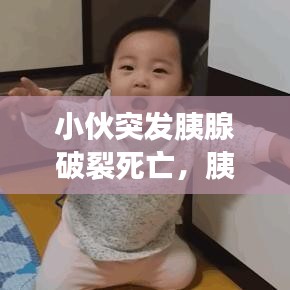 衣不重采 第3页