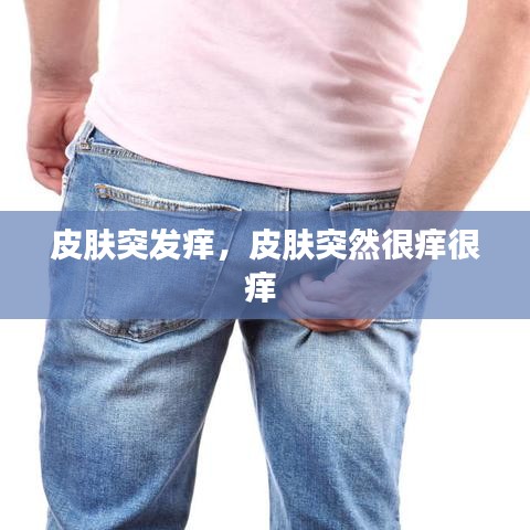 南辕北辙 第3页