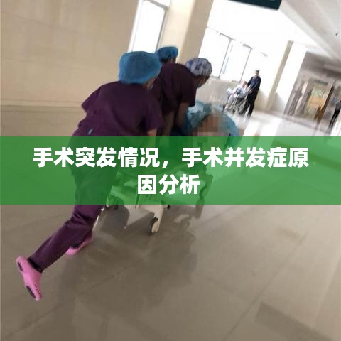 蛙蟆胜负 第3页