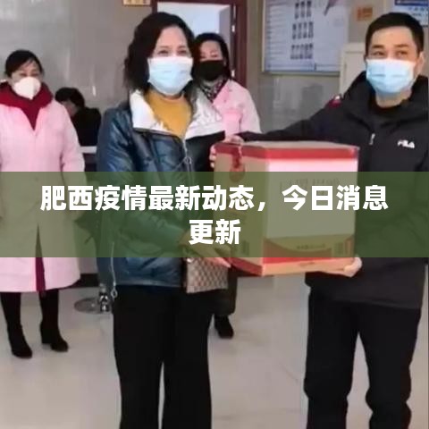 肥西疫情最新动态，今日消息更新