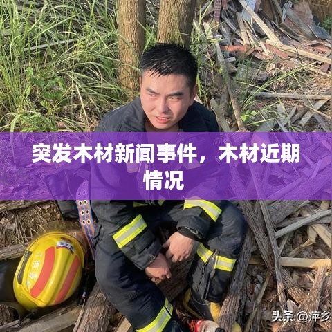 一往无前 第3页