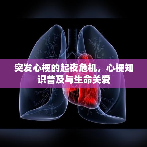 突发心梗的起夜危机，心梗知识普及与生命关爱