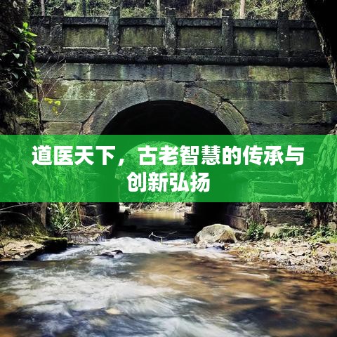 小鸟依人 第2页