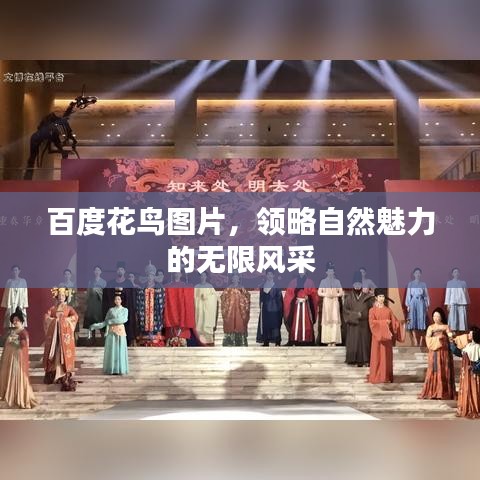百度花鸟图片，领略自然魅力的无限风采