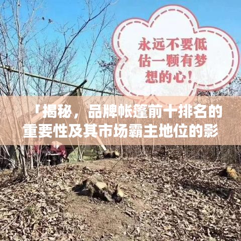 「揭秘，品牌帐篷前十排名的重要性及其市场霸主地位的影响力」