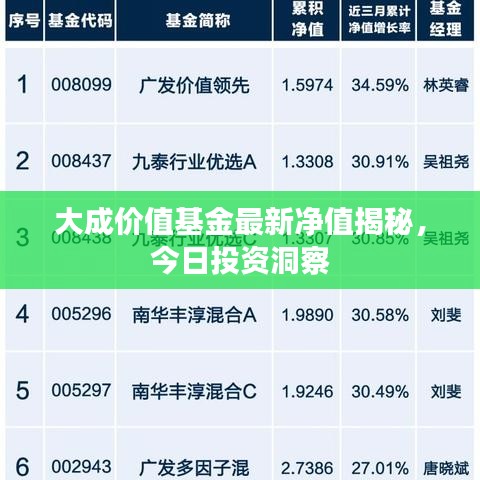 大成价值基金最新净值揭秘，今日投资洞察