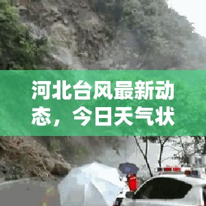 河北台风最新动态，今日天气状况全面解析