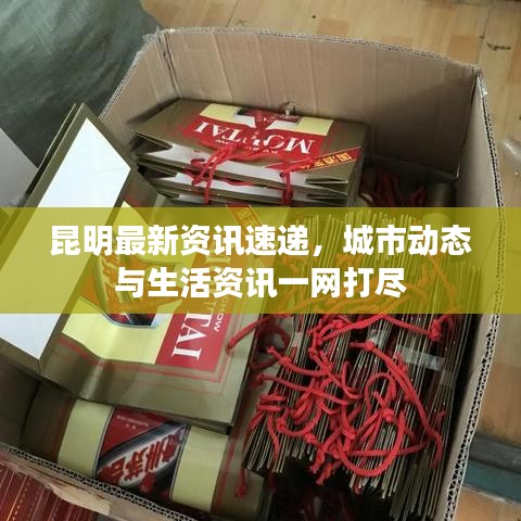 昆明最新资讯速递，城市动态与生活资讯一网打尽
