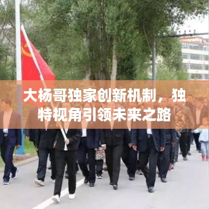 大杨哥独家创新机制，独特视角引领未来之路