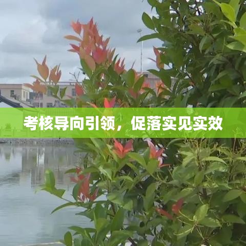 考核导向引领，促落实见实效