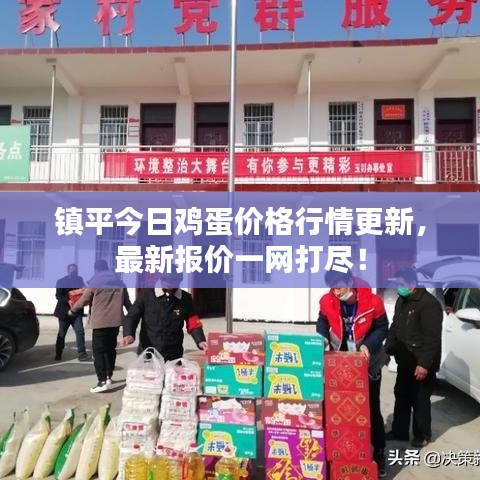 镇平今日鸡蛋价格行情更新，最新报价一网打尽！