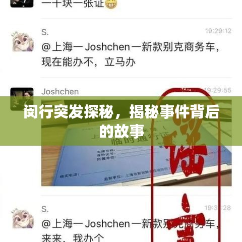 闵行突发探秘，揭秘事件背后的故事