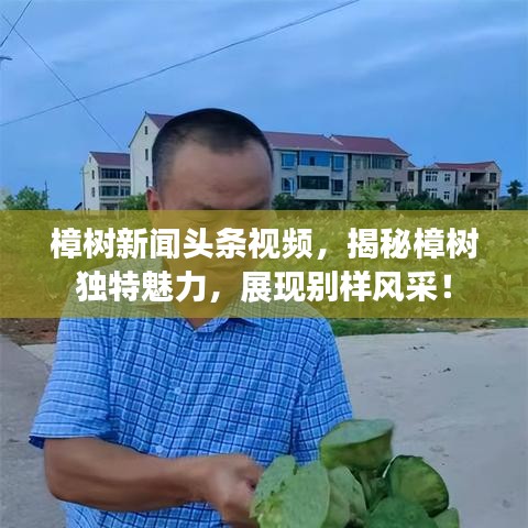 樟树新闻头条视频，揭秘樟树独特魅力，展现别样风采！